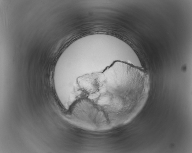 X0000115210361200911251513