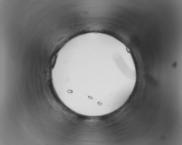 X0000115210362200911251513