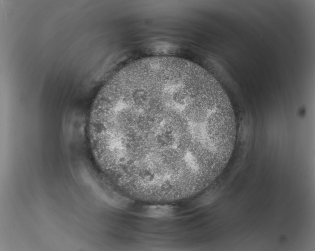 X0000115210363200911251513