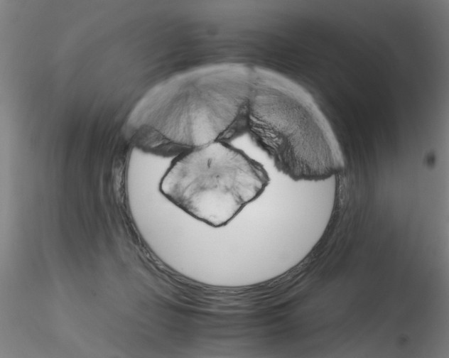 X0000115210365200911251513