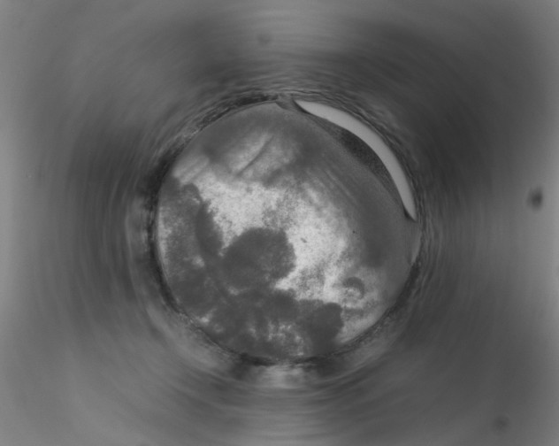 X0000115210366200911251513