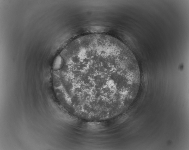 X0000115210367200911251513