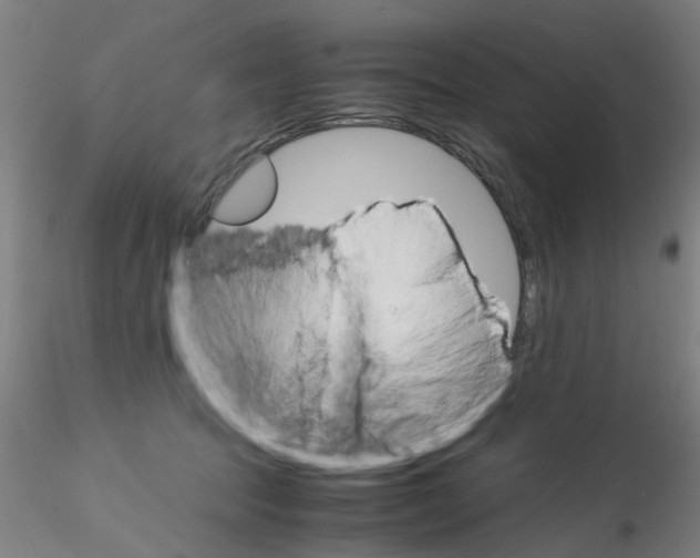 X0000115210369200911251513