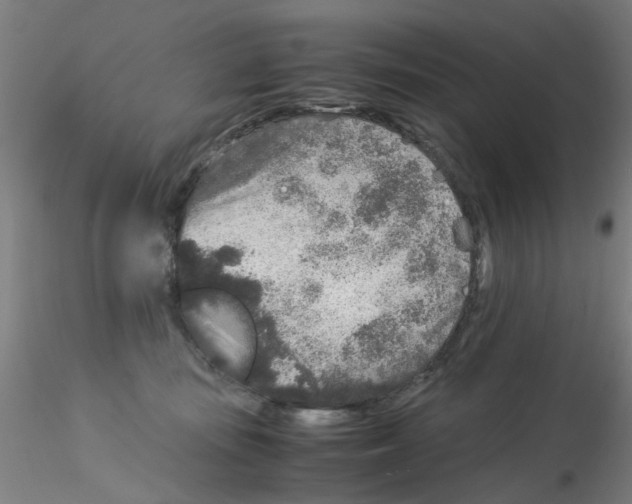 X0000115210371200911251513