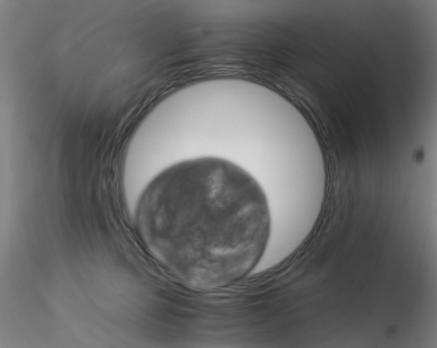 X0000115210373200911251513