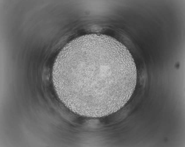 X0000115210374200911251513