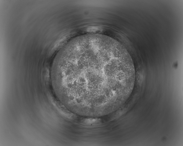 X0000115210375200911251513