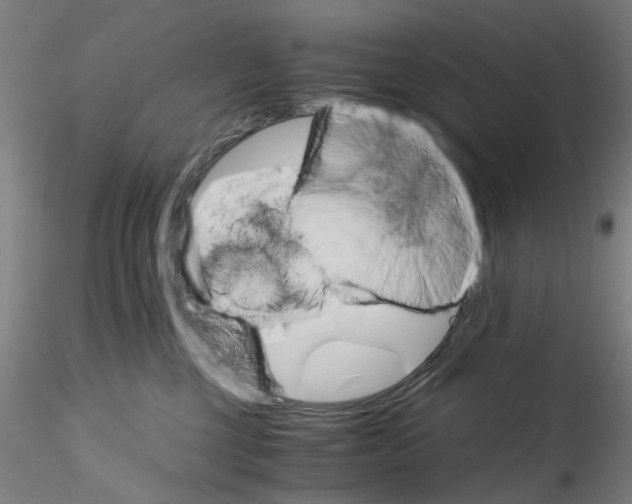 X0000115210377200911251513