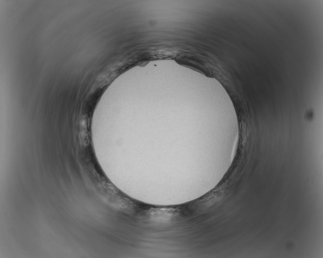 X0000115210378200911251513