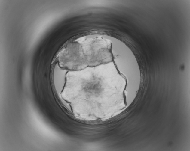 X0000115210381200911251513