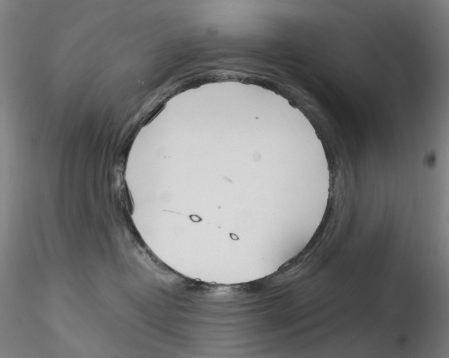 X0000115210382200911251513