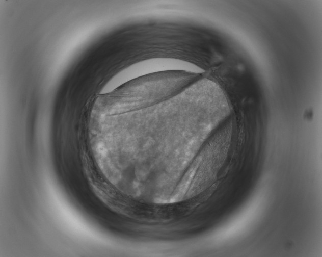 X0000115210383200911251513