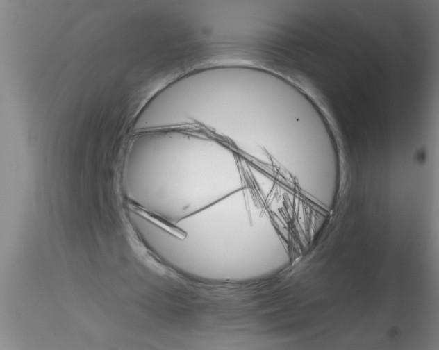 X0000115210385200911251513