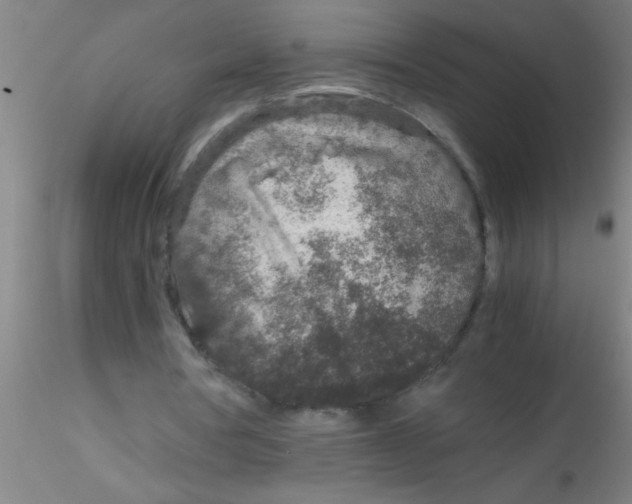 X0000115210386200911251513