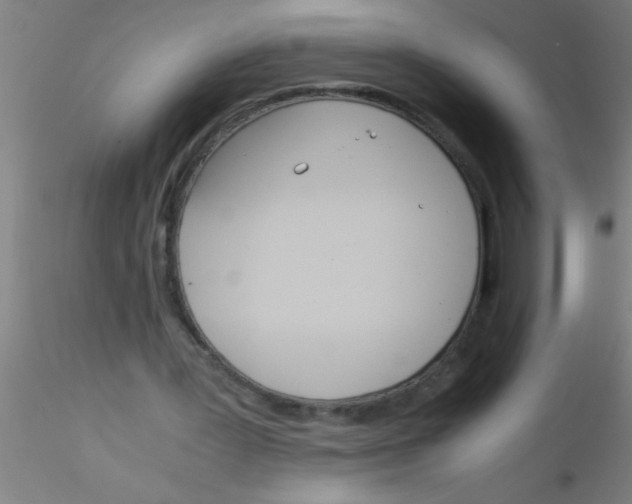 X0000115210387200911251512