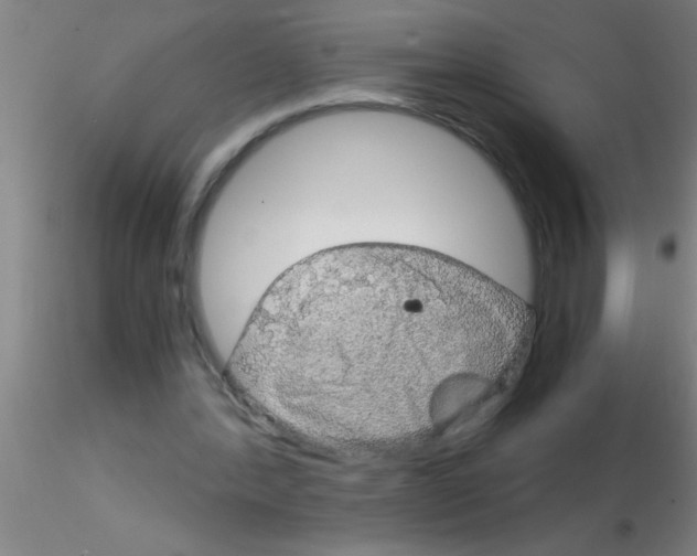 X0000115210388200911251512