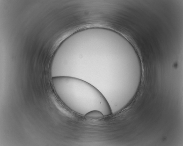 X0000115210389200911251512