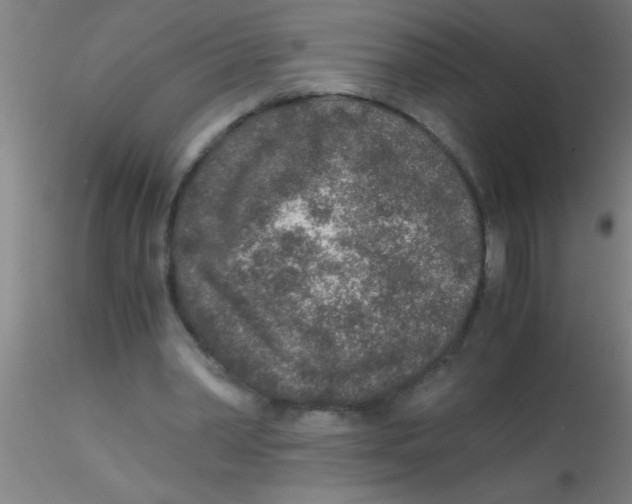 X0000115210390200911251512