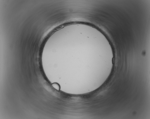 X0000115210391200911251512