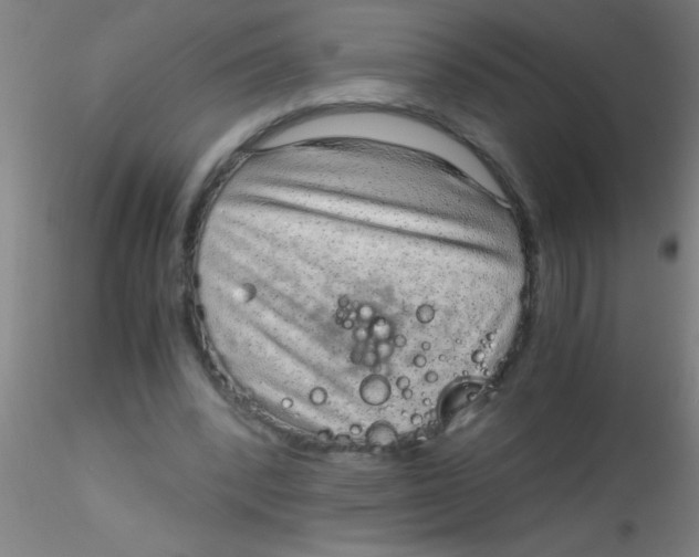 X0000115210392200911251512