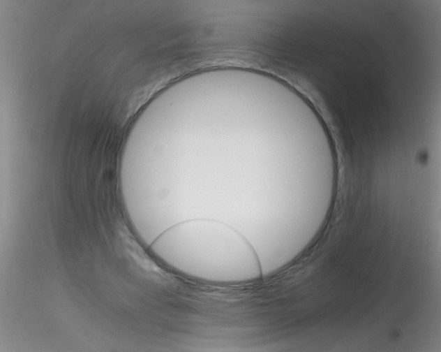 X0000115210393200911251512