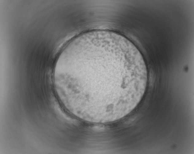 X0000115210394200911251512