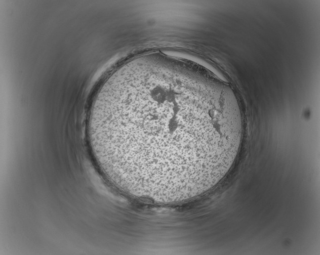 X0000115210395200911251512