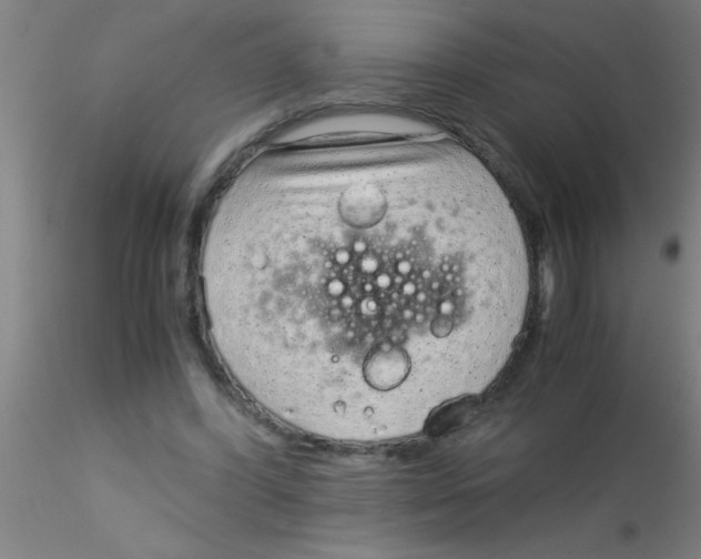 X0000115210396200911251512