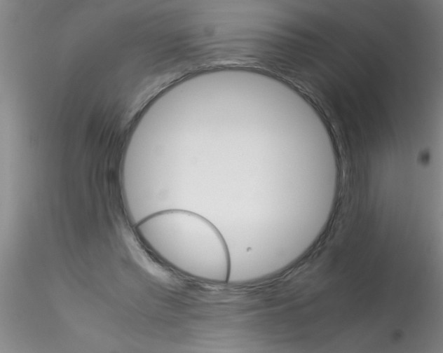 X0000115210397200911251512