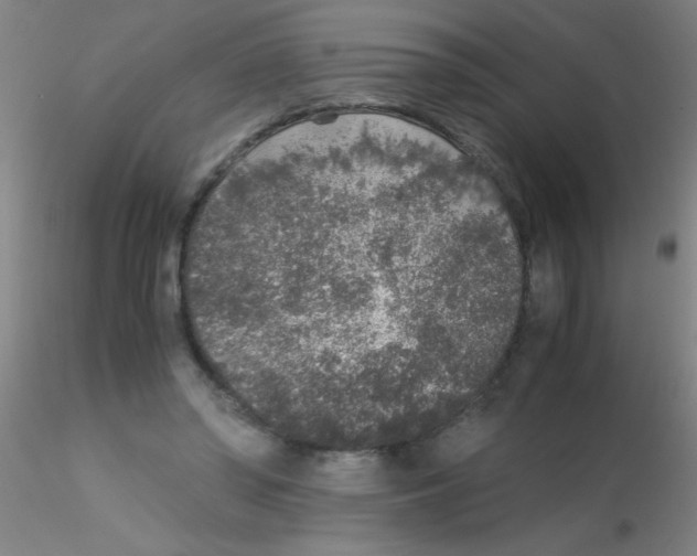 X0000115210398200911251512