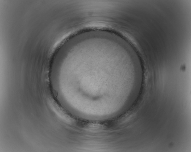 X0000115210399200911251512