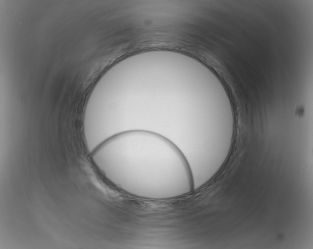 X0000115210401200911251512