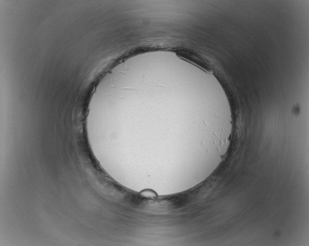 X0000115210403200911251512