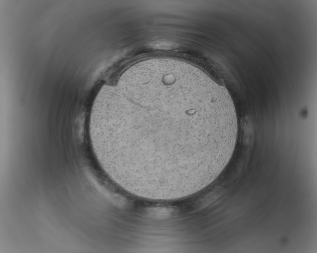 X0000115210404200911251512