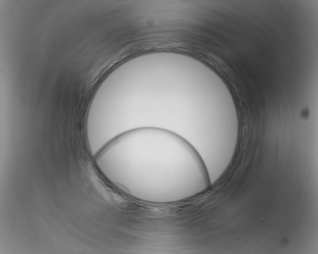 X0000115210405200911251512