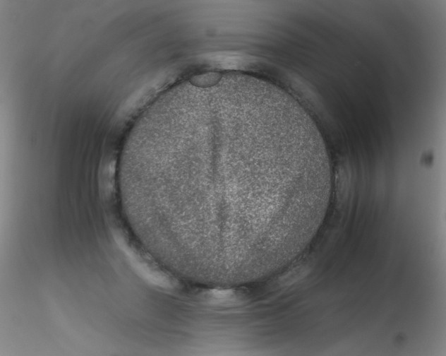 X0000115210406200911251512