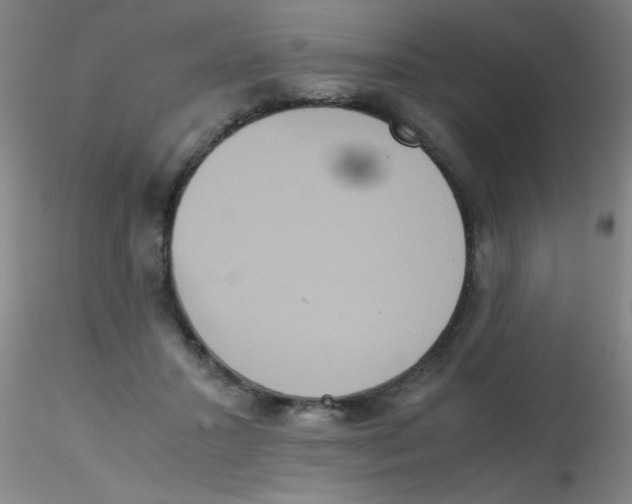 X0000115210407200911251512