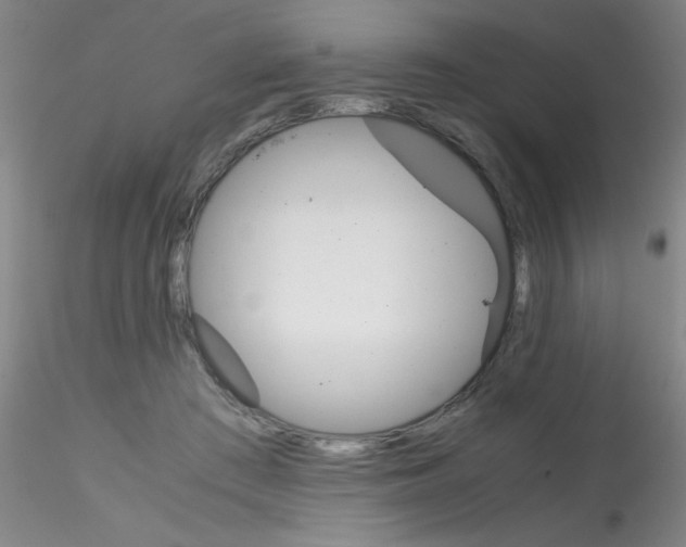 X0000115210409200911251512