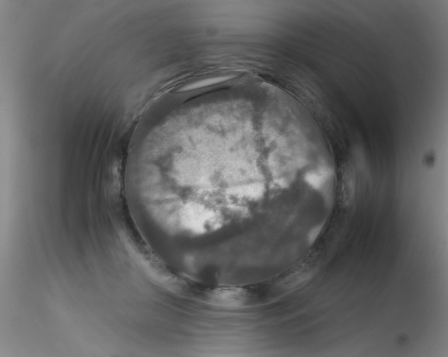 X0000115210410200911251512