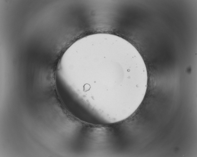 X0000115210411200911251512