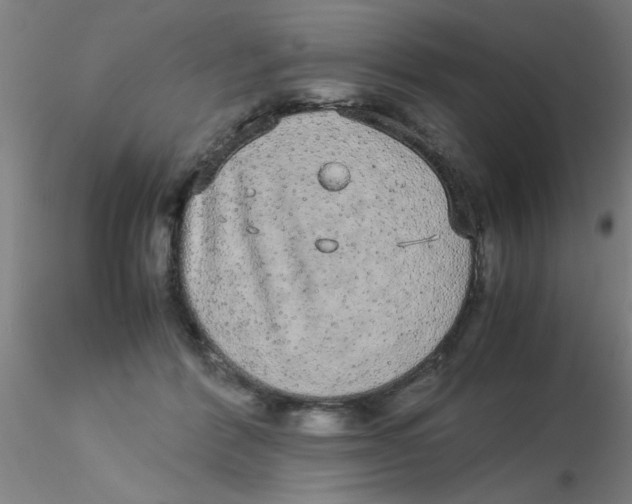 X0000115210412200911251512