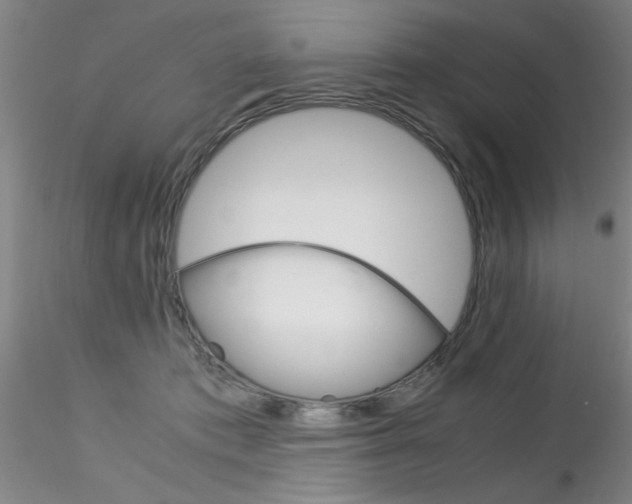 X0000115210413200911251512