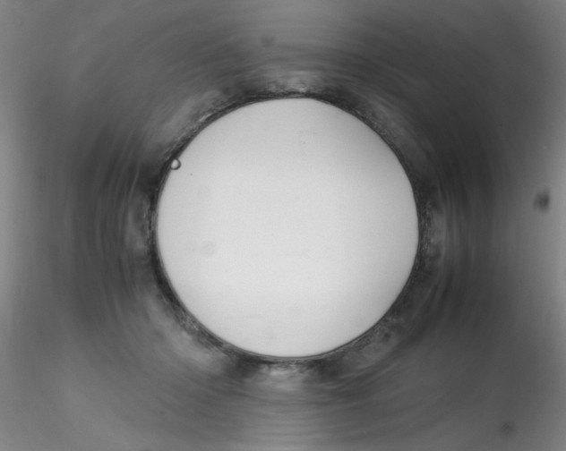 X0000115210414200911251512