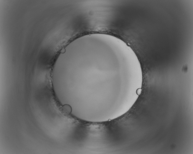 X0000115210415200911251512