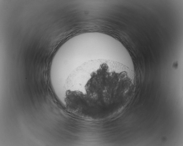 X0000115210416200911251512