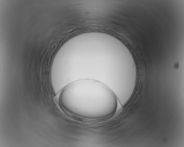 X0000115210417200911251512