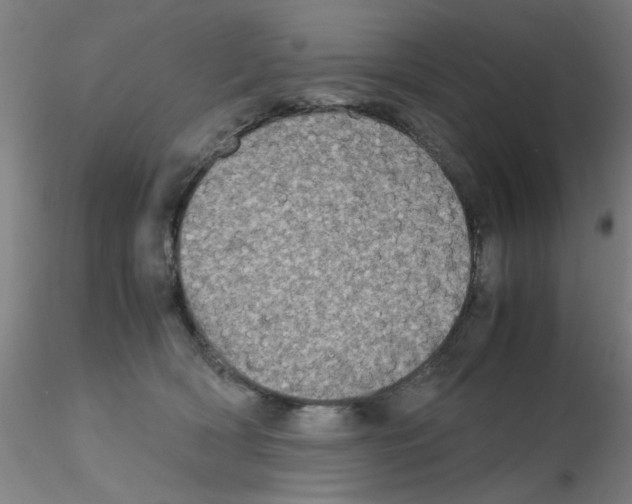 X0000115210418200911251512