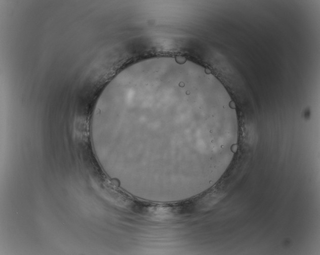 X0000115210419200911251512