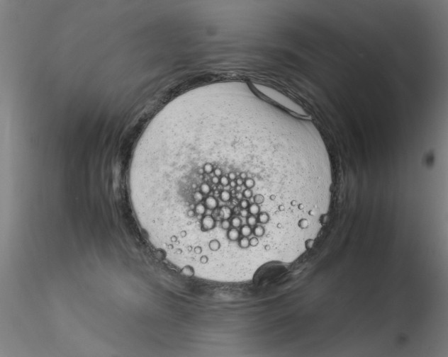 X0000115210420200911251512