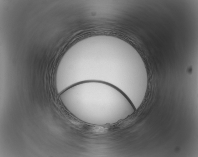 X0000115210421200911251512